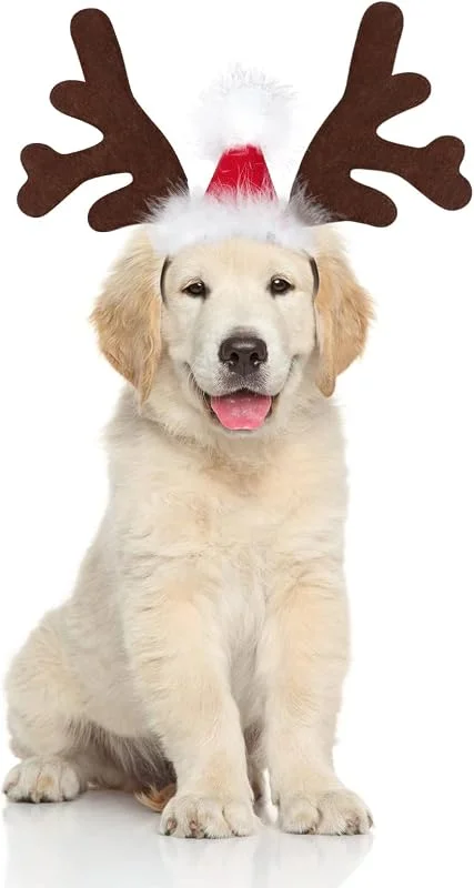 GTYARYUA Gorro Navidad Perro, Diadema De Navidad para Mascotas, Cuernos De Reno Ajustables Marrón Perro Gato Cuernos, para Accesorios de Fiesta Navideña para Mascotas (A) — Ropa Navidad