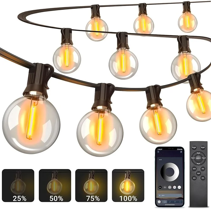 Visita la tienda de ARKOCHIC Guirnalda Luces Exterior 30M, Control App Guirnaldas de Luces Exterior — Luces Navidad