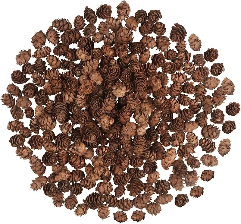 Fangoo 200 piñas de Pino de Navidad, Mini piñas Naturales de Acción de Gracias, Adornos de piñas de Navidad a Granel para decoración del hogar, Manualidades, árbol de Navidad, decoración de otoño e Invierno — Decoracion Navidad