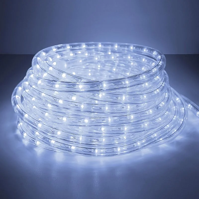 Forever Speed COCOMIA 10M Tubo de LED, Tira de Manguera Exterior e Interior Blanco Frío para Decoración e Iluminación Halloween, Boda, Fiesta, Navidad — Luces Navidad