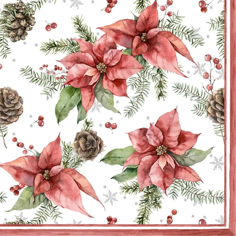 ti-flair 20 Servilletas de Navidad Con Diseño de Conos y Estrellas - Decoración de Mesa, Papel Con Diseño Para Decoupage (33 x 33 cm) — Adviento y mesa