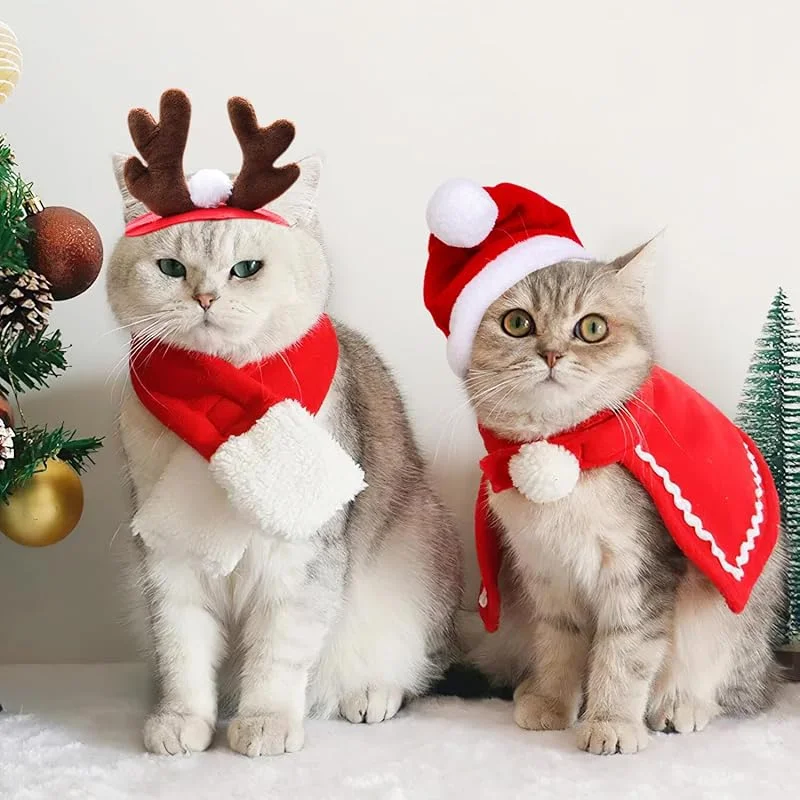 QUOHE Disfraz Navidad para Perros Gatos, 4 Piezas Accesorios Ropa Navideño de Mascota Astas de Reno Diadema Sombrero de Santa Bufanda Manto, Regalo Collar Roja Disfraces Navideña para Perro Gato Pequeños — Ropa Navidad