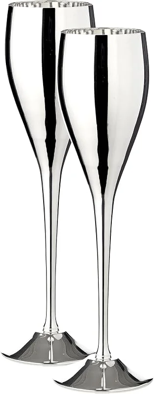 Visita la tienda de EDZARD EDZARD Juego de 2 Copas flauta Dodo (200 ml), copa de cava plateada — Vino y mesa festiva